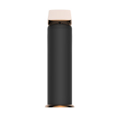 Mitigeur lavabo Noir / rose gold