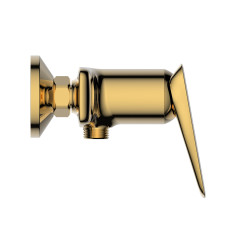 Mitigeur de douche Or