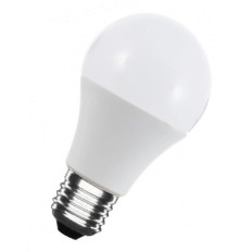 Ampoule globe E27 Led