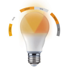 Ampoule globe couleur chaude E27 dimmable