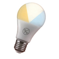 Ampoule globe Led 3 couleurs