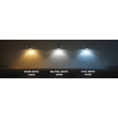 Ampoule globe Led 3 couleurs