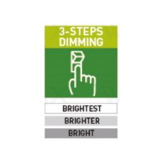 Ampoule globe LED 3 étapes